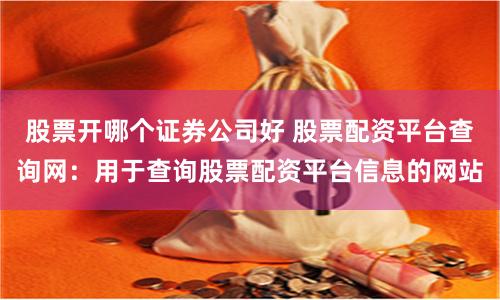 股票开哪个证券公司好 股票配资平台查询网：用于查询股票配资平台信息的网站