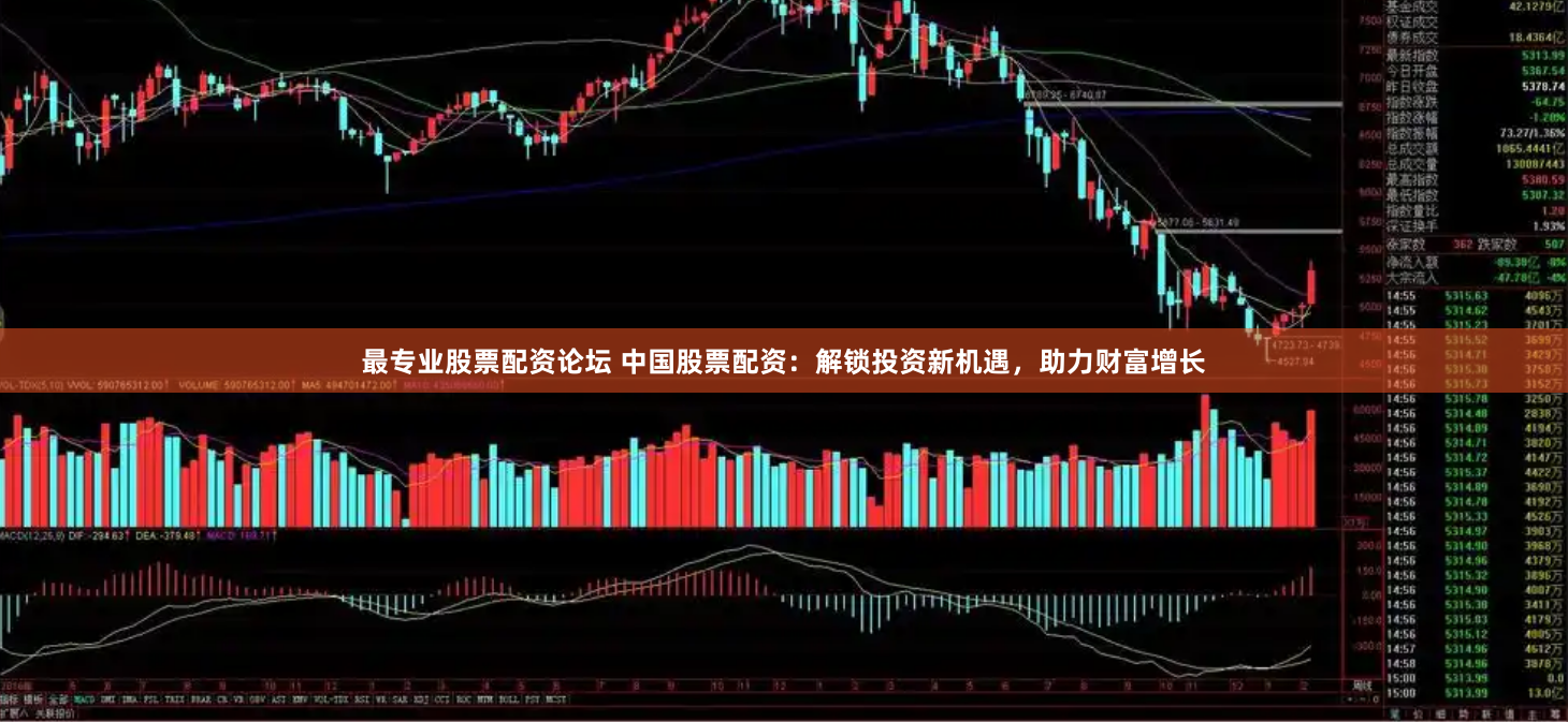 最专业股票配资论坛 中国股票配资:解锁投资新机遇,助力财富增长
